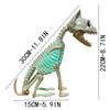 Glowing Skeleton Cat Statue Realistic Looking Enhance Atmosphere Eco-friendly Creepy Animal Prop Yard Garden Decoration