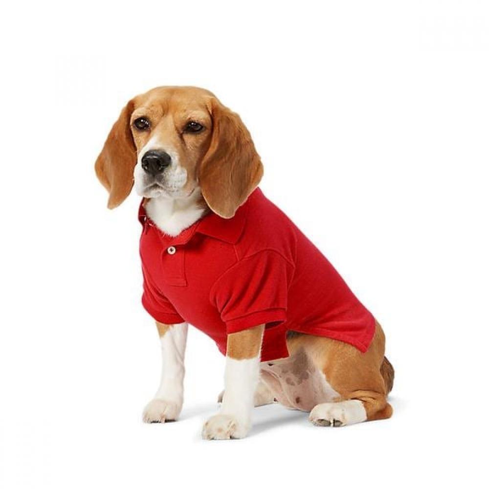 Ralph Lauren Big Pony Cotton Mesh Dog Polo Shirt Hmpogfthr920008600 SMALL