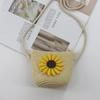 2024 Women's Mini Cartoon & Straw Flower Messenger Bags - Cute Beach Accessory
