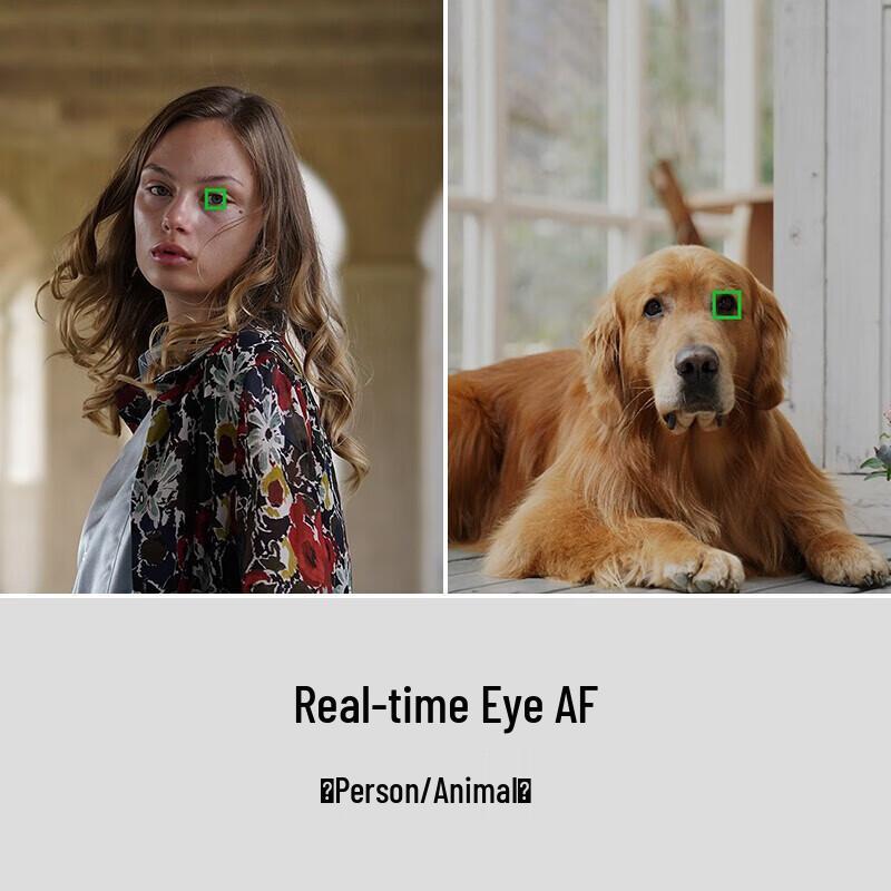 Sony Alpha 7R III Full-Frame Mirrorless Camera (CN Version)