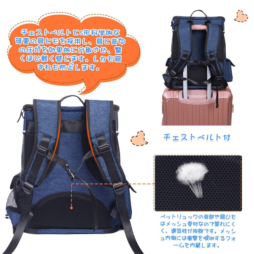 Pet Carrier Dog Carrier Cat Pet Cat Carrier Cat Carrier Cat Carrier Pet Carrier Pet Dog Carrier Mesh with Lead To Prevent Jumping Winter and Summer