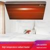 Theodoor AFS Far Infrared Wall-Mounted Radiant Heater