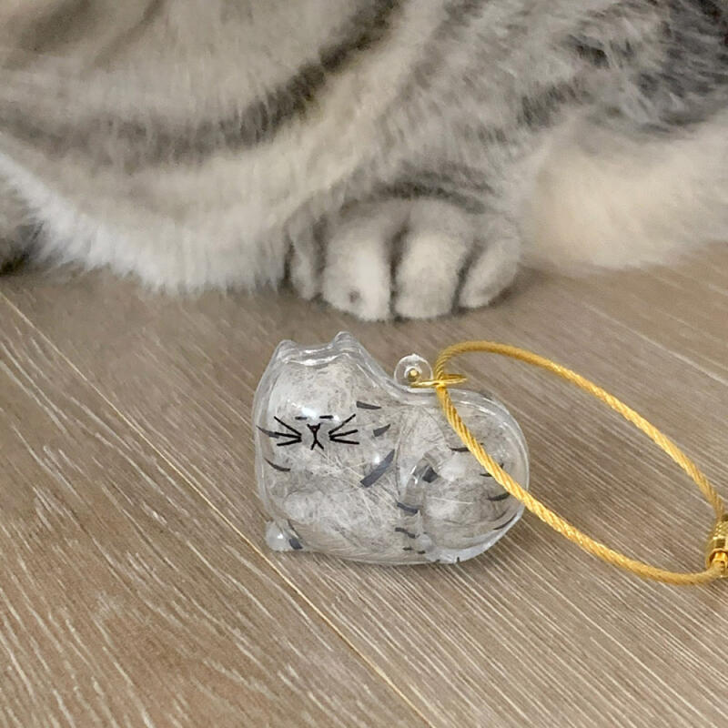Cat Transparent Memory Capsule Keychain Fur Ball Storage