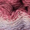Scheepjes Whirl 1x1000m 789 Tasty Nom Nom -