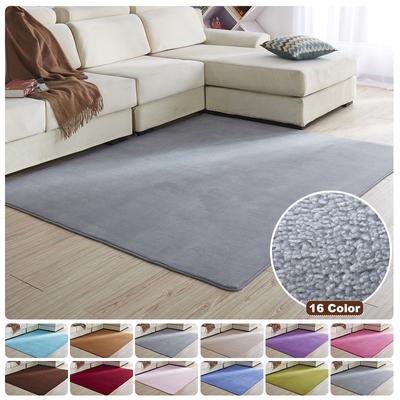Coral Velvet Carept Washable Mat For Living Room Non -Slip Soft Sofa Rug Cushion Childrend Play Mats Crawling Pad For Home Decor