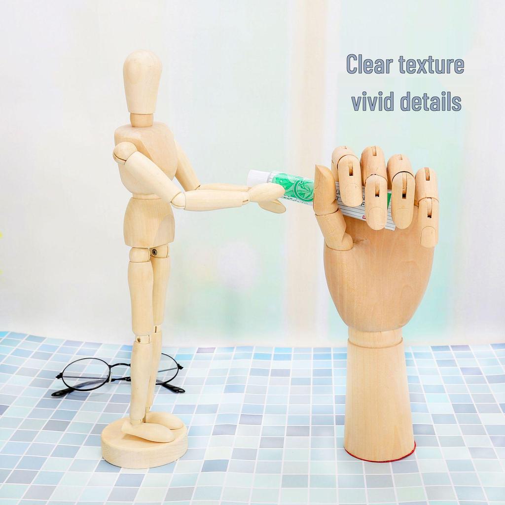 12-inch and 10-inch Jointed Wooden Mannequin Doll for Art and Painting