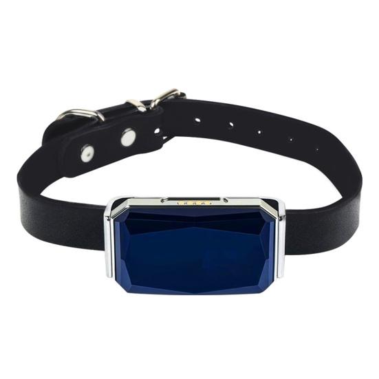 

Трекер для домашних животных Регулируемый виртуальный забор IP68 Водонепроницаемый История местоположений Отслеживание в реальном времени Точное положение Пластик