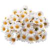 100Pcs Mini Silk Daisy Wedding Party Home Decorative Christmas Wreath Bridal Accessories Scrapbooking Artificial Flowers Cheaper
