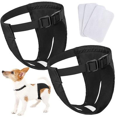 Perros – Suministros de salud