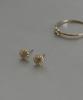 Faye 14K Daisy Earrings
