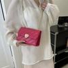 Fashion texture solid color 2025 winter trend casual fashion embroidery thread shoulder crossbody small square bag