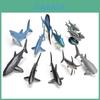 Pvc Ocean Fish White Shark And Whale Model Set With Realistic Design For Marine Enthusiasts