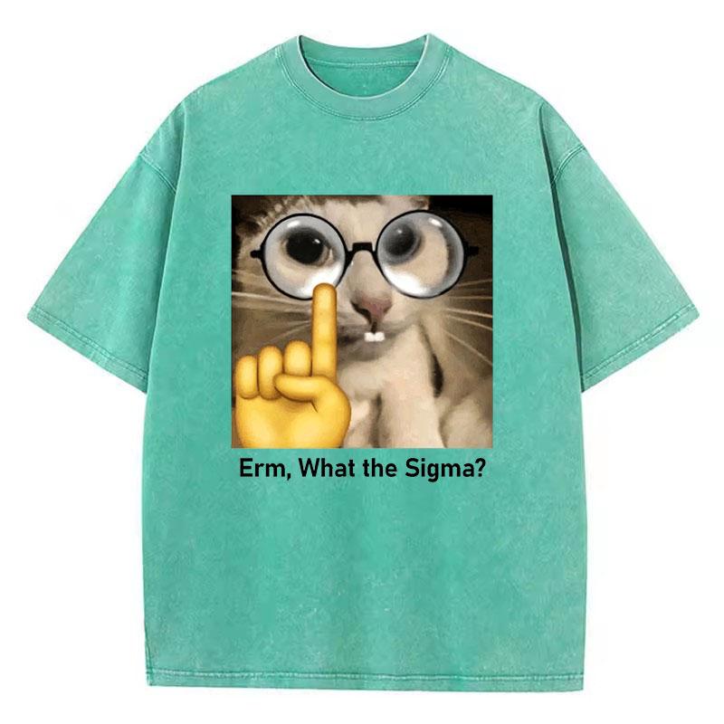 Funny Meme Cat T Shirt Vintage Washed Cotton T-Shirt  Graphic Tee Casual Streetwear Spring Summer Fall Top Tee