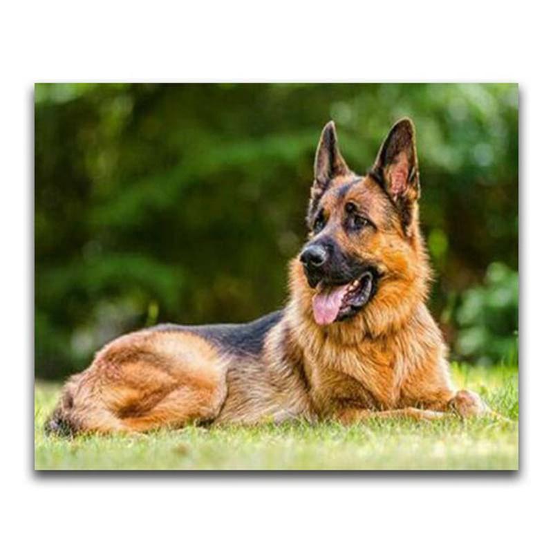 

DIY 5D алмазная картина немецкая овчарка полная круглая дрель животное собака домашнее животное алмазная вышивка крестом мозаика домашний декор Round 30x40cm