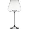 Yipan Premium Glass Wine & Champagne Glasses Set (Pack of 5)