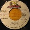 7inch Record TERROR FABULOUS  Mr Big Man MH004 Mad House Jamaica Reggae Ska  Dub Used