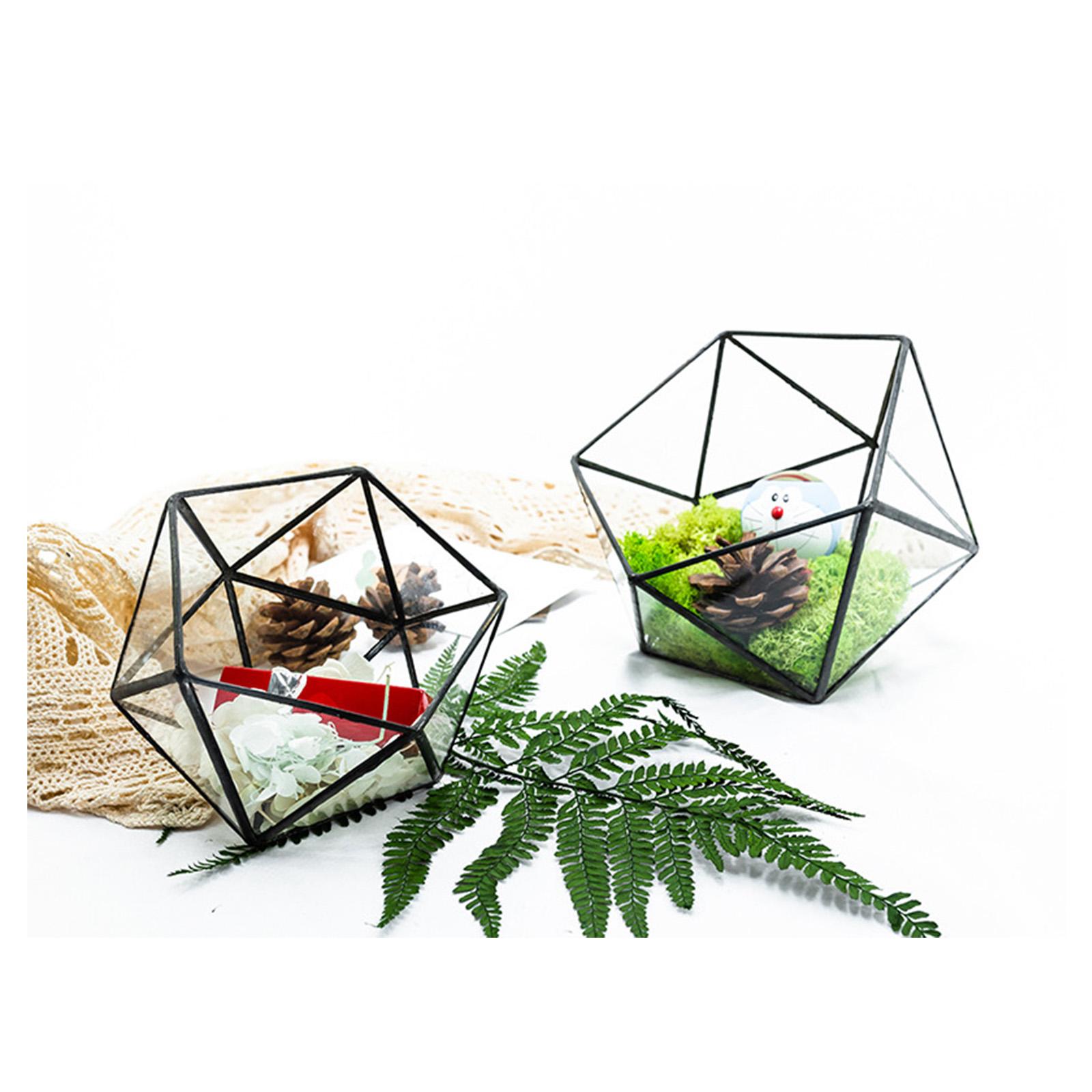 

Modern golden immortal flower gift box creative geometric glass flower room micro landscape plant bottle home storage 12x12x12 золотий