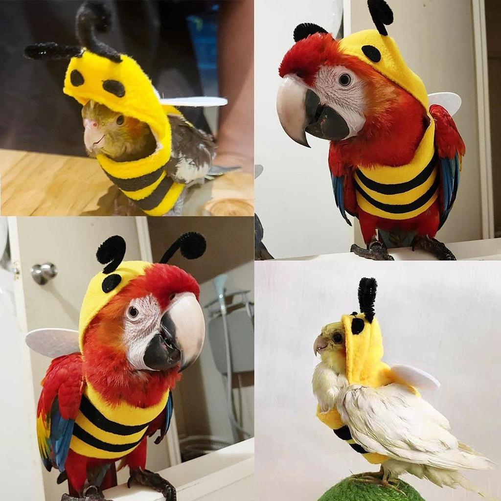 Small Animals Apparel Bird Costume Bee Shaped Cute Flying Suit Reusable Bird