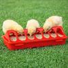 3pcs 20cm Poultry Feeder Troughs – Flip-Top Plastic, Spill-Proof for Baby Chickens & Quail