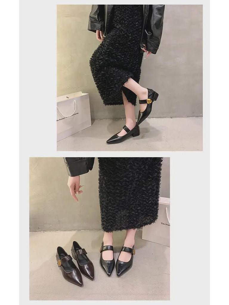 2024 Autumn Women's Thick Heel Pointed Toe Mary Jane Leather Shoes - Medium Heel, British Casual Style