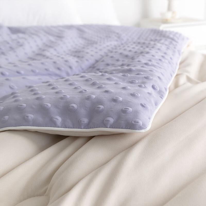 PAUL FRANK Lavender Serene All-Season Comforter
