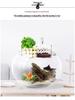 Round Glass Fish Tank: 3-in-1 Silent Filter, Oxygenator, and Waterfall Box with Ceramic Trickle Media.