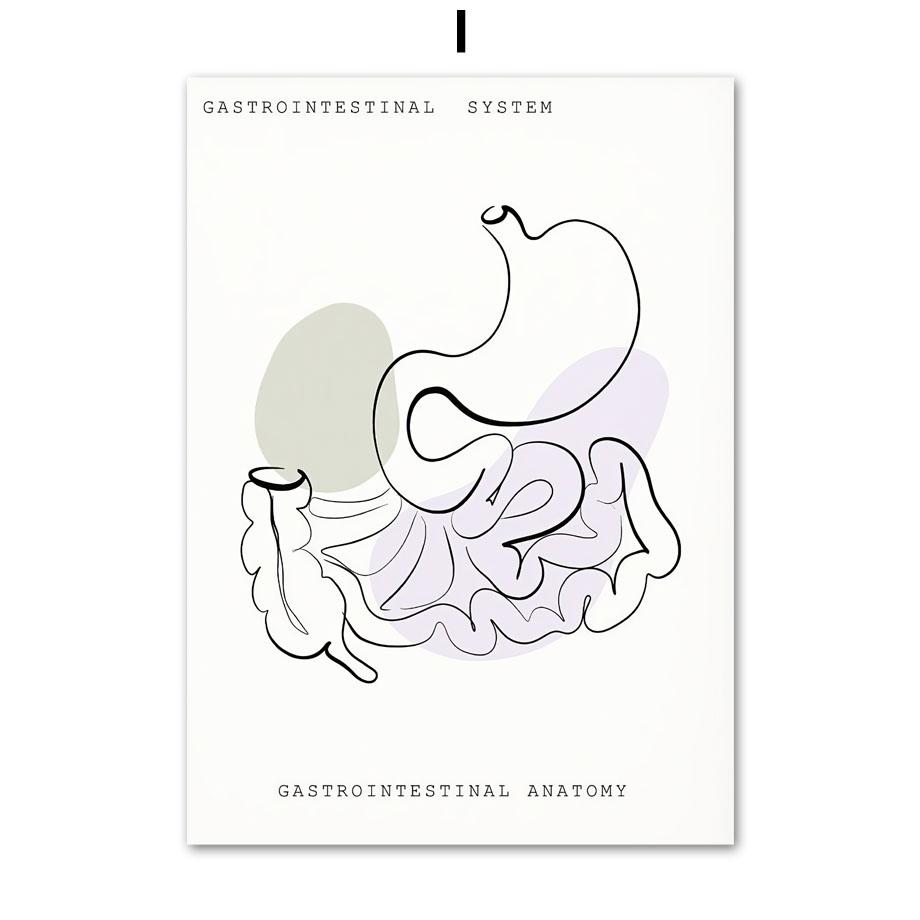 

Минималистичный Красочный Анатомический Линия, медицинский плакат и принт, разум, зуб, орган, настенная живопись на холсте, эстетика, декор для комнаты, клиники A4 21X30cm No Framed