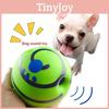 Bola Wagg Wobble Giggle para Cães Brinquedo de Treino Esportivo para Animais de Estimação Som Engraçado Mordedor para Filhotes