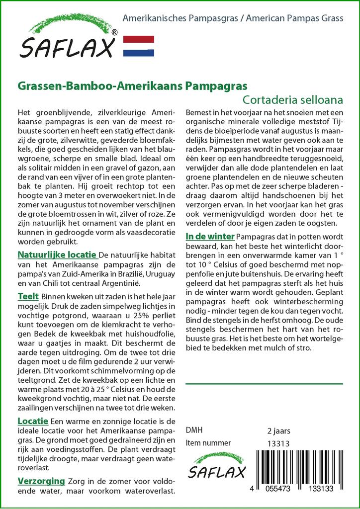 SAFLAX Erba della Pampa Americana - 200 semi - Cortaderia selloana