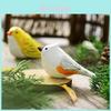 Wooden Little Chubby Bird Toy Decorative Piece For Office And Living Room Decor