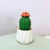 Mini Artificial Cactus and Bonsais Figure Resins Succulent Faux Potted Plant Figurine for Home and Office Desktop Decors