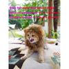Lion Mane Wig for Cat Costume Pet Adjustable Washable Comfortable Fancy Lion Hair Cat Clothes Dress for Halloween Christmas Easter Festival Party
