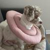 Collare Cono Morbido Regolabile a Ciambella con Coulisse Alternativa al Collare a Cono per Cani e Gatti di Taglia Grande, Media, Piccola Dopo l'Intervento