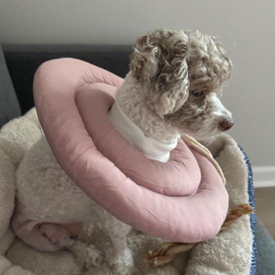 Collare Cono Morbido Regolabile a Ciambella con Coulisse Alternativa al Collare a Cono per Cani e Gatti di Taglia Grande, Media, Piccola Dopo l'Intervento
