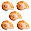 Sea Snail Shell 3CM Natural Exquisite Small Seashell for Fish Tank Decor and DIY Crafts Gift Collection
