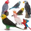 Simulation Bird Action Figures Parrot Macaws Budgerigar Lifelike Animals Model Kids Cognition Toys For Gifts