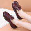 Winter Cloth Shoes Women's Shoes Plus Velvet Ladieswear Soft Sole Old Lady Elderly Grandma Warm Shoes