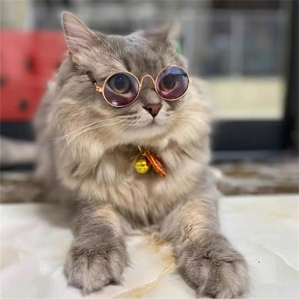 Fashion Dog Pet Glasses Creative Trend Photography Round Frame Small Sunglasses Retro Dog Sunglasses