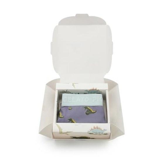 Gelato Pique HOMME Sleeping Dinosaur Pattern Underwear Box PMCP262923 Mens