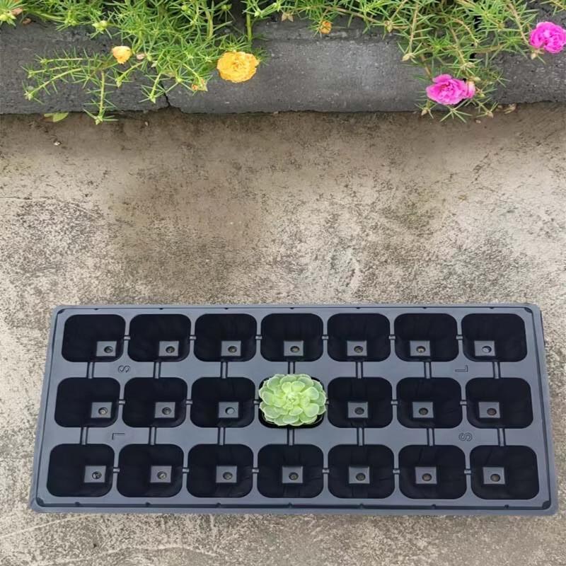 MOJY Perforated Seedling Nursery Tray