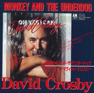 7-Zoll Schallplatte DAVID CROSBY - Monkey And The Underdog SSP28PROMO A&M RECORDS 1989 Japan Rock Gebraucht