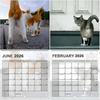 2026 Cats Buttholes Wall Calendar - Hilarious Cat Calendar A Fun Novelty Item For Cat Enthusiasts And Gift Seekers Home Decor