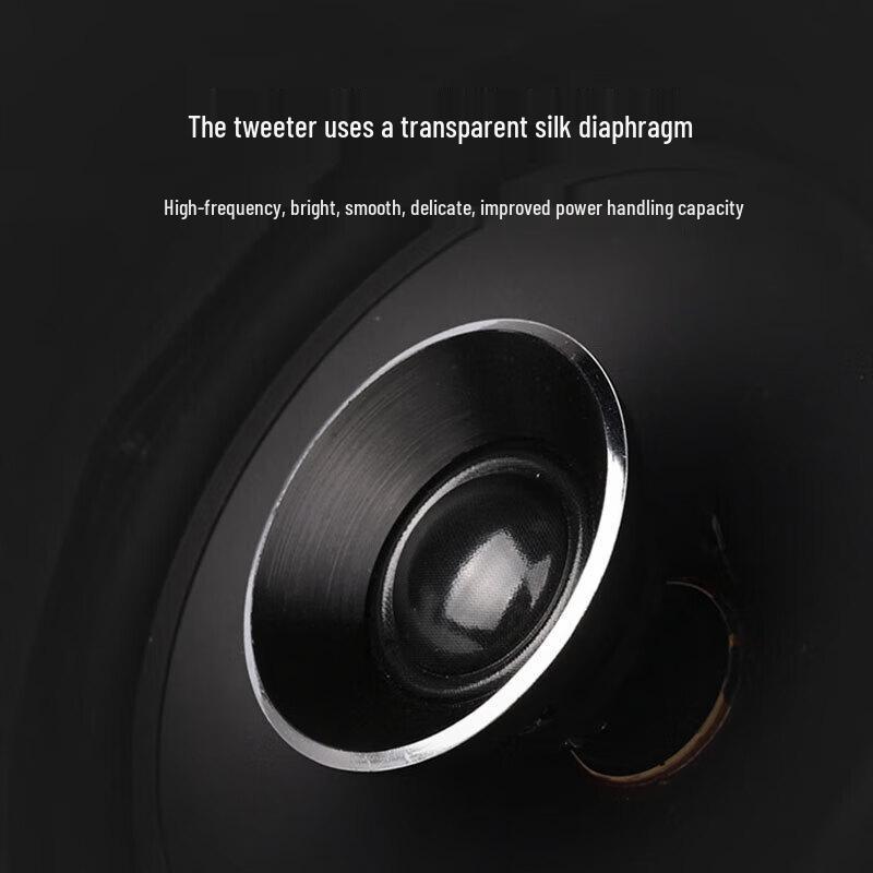 TAKSTAR EBS-640 Ceiling Speaker CN plug (adapter included)