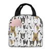 Engelse Bull Terrier Hondenpatroon Draagbare Lunchboxen Waterdichte Thermische Koeltas Voedsel Geïsoleerde Lunchtas Kinderen School Kinderen
