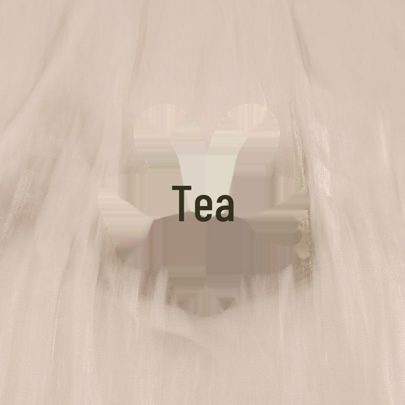 Hot-Selling European & American Hair Accessories: Shark Clip, Frosted Diamond Flower Hairpin