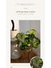 Artificial Green Plants for Indoor Decor – Potted Ornaments for Living Room or Coffee Table
