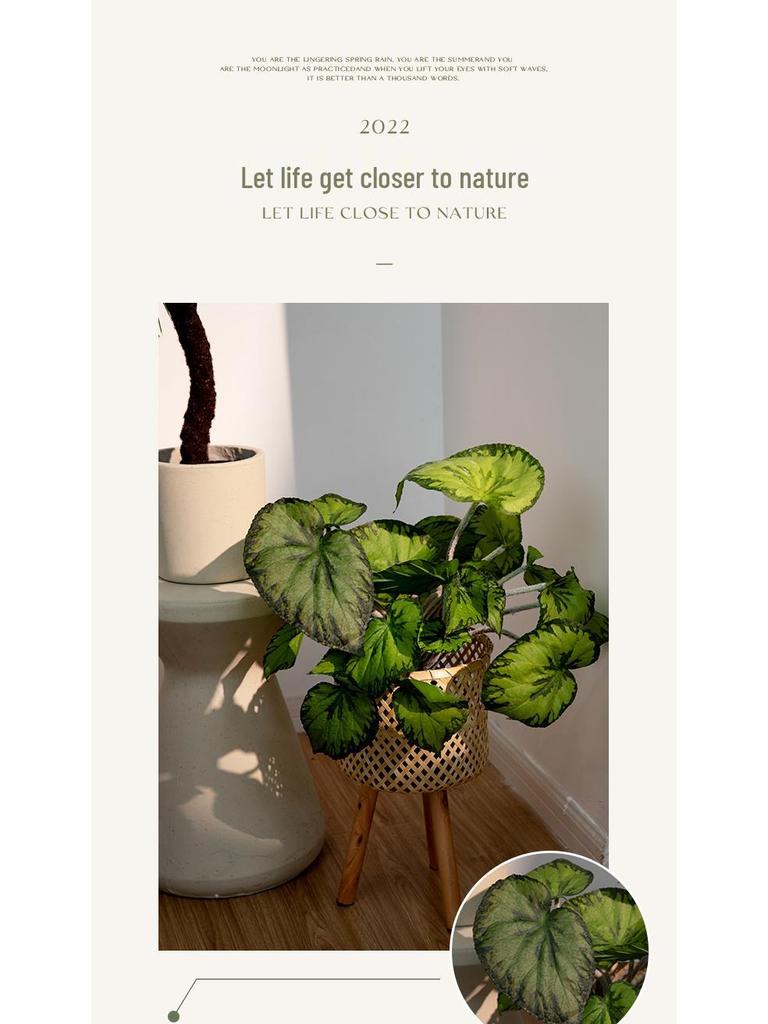 Artificial Green Plants for Indoor Decor – Potted Ornaments for Living Room or Coffee Table