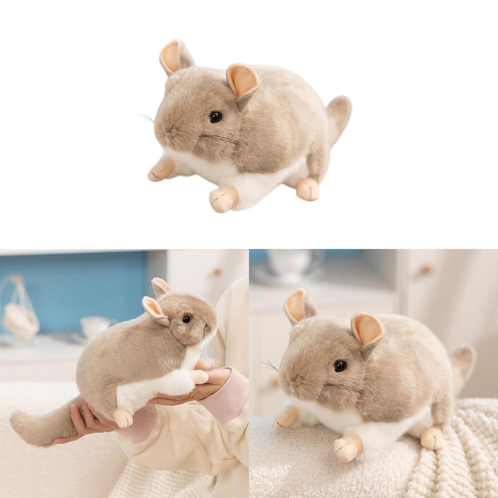Peluche Cincillà Giocattolo Riempito Per Bambini e Bambine Regalo