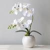 Artificial Butterfly Orchid Floral Arrangement