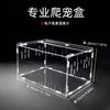 Acrylic Reptile Terrarium Small Pet Habitat Tarantula Gecko Scorpion Beetle Desktop Display Box With Thermometer Option